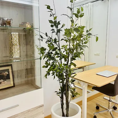 Prime Location Puerto Banus Nueva Andalucia Apartment